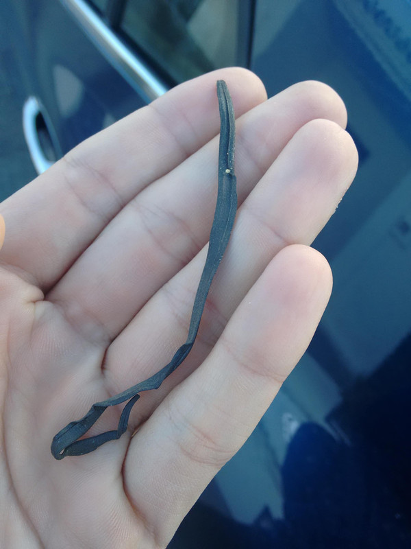 IMG_20170105_120756623