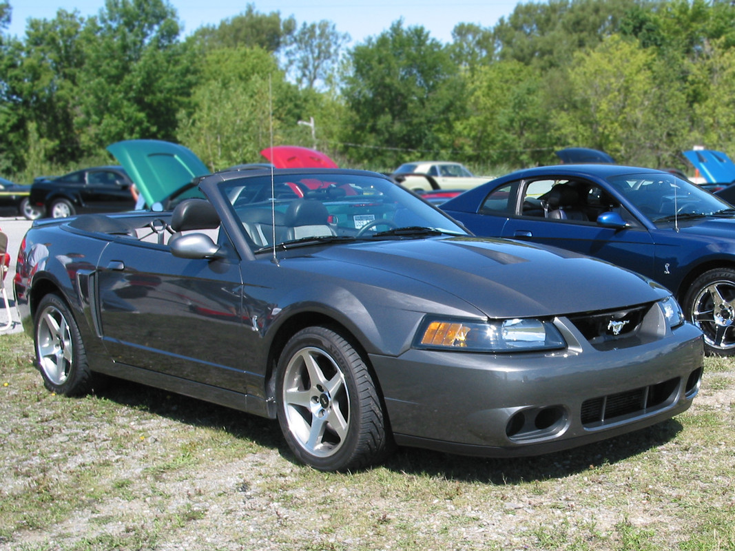 photo - Montréal Mustang: 40 ans et + d’activités! (Photos-Vidéos,etc...) - Page 20 JF-Cobra