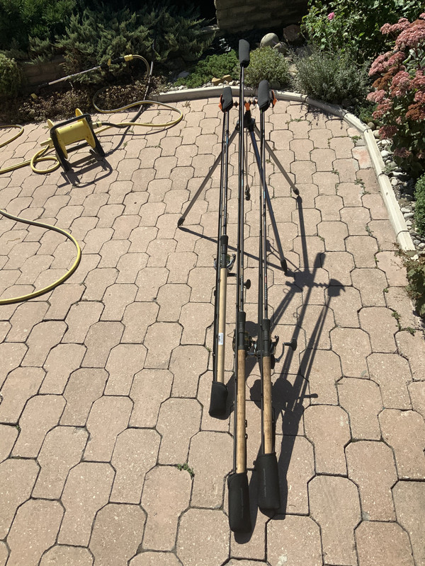 D412D63B-9983-4341-9C95-D39316263D33