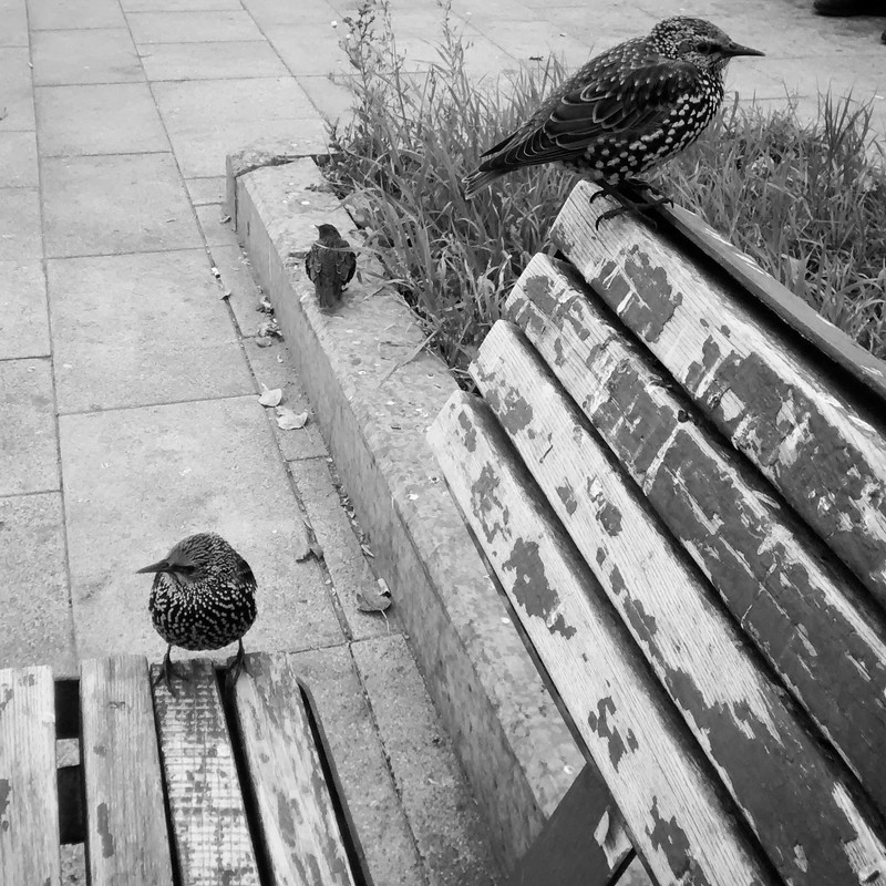 BWY4cOXZ8DH2vRZhxidxgQJ-mwISDIr0DS6-49tQckDMyTO7eGJDaW9CH1LkiPO3fGYEjmOMuhZzxT_D1yyAlWPO