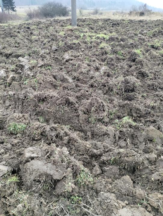 IMG 20251222 122143835