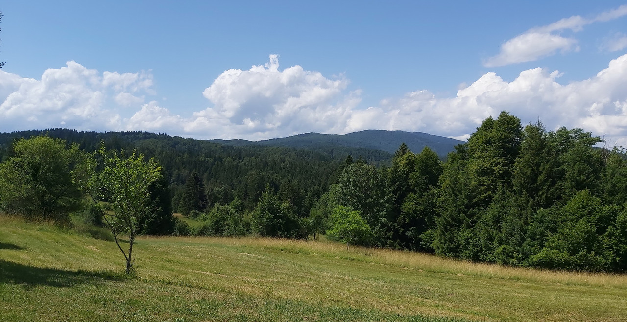 20210714-113316-c.jpg