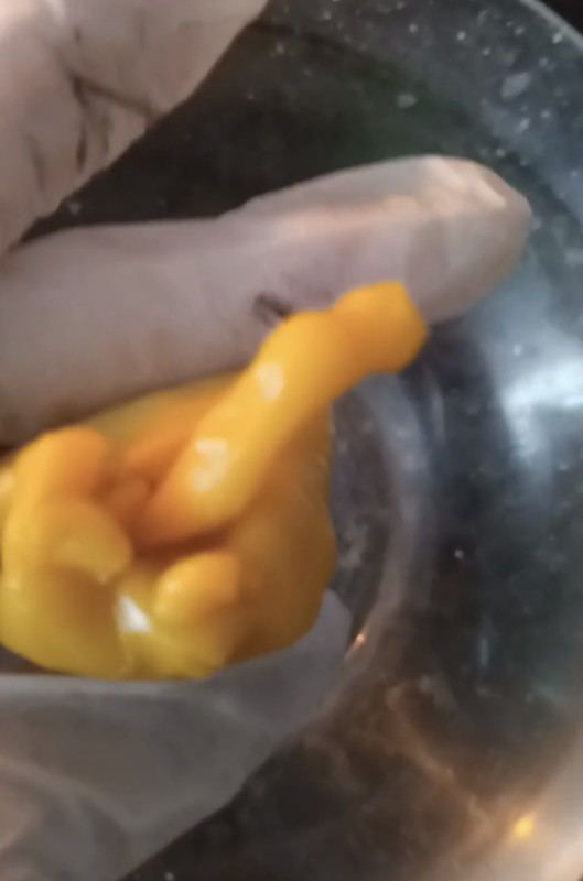 B1076E48-2377-411E-9506-2DA2DA0A562D