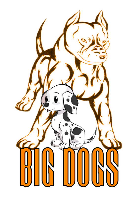 Big Dogs Bowling Team