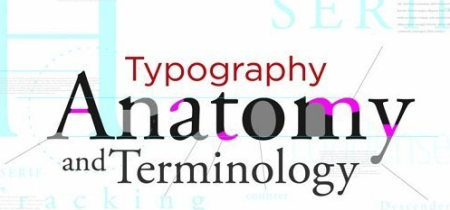 Typography Anatomy and Terminology