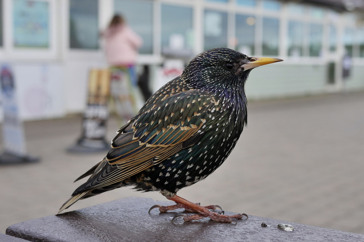 16ABB826-C3DD-47E4-A7E5-C03DC932025B