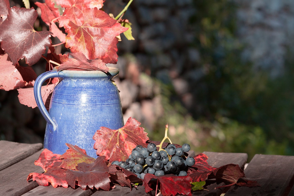 blue-wine-1729459-1280.jpg
