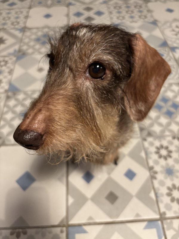 [Image: IMG-9308.jpg]