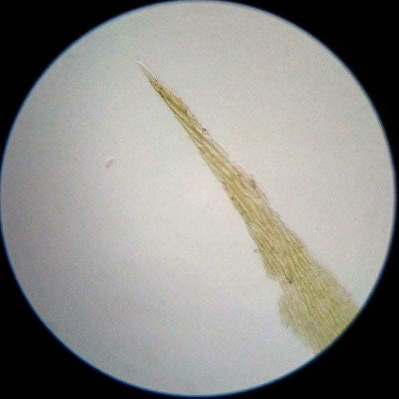 IMG 20250617 105122 HDR