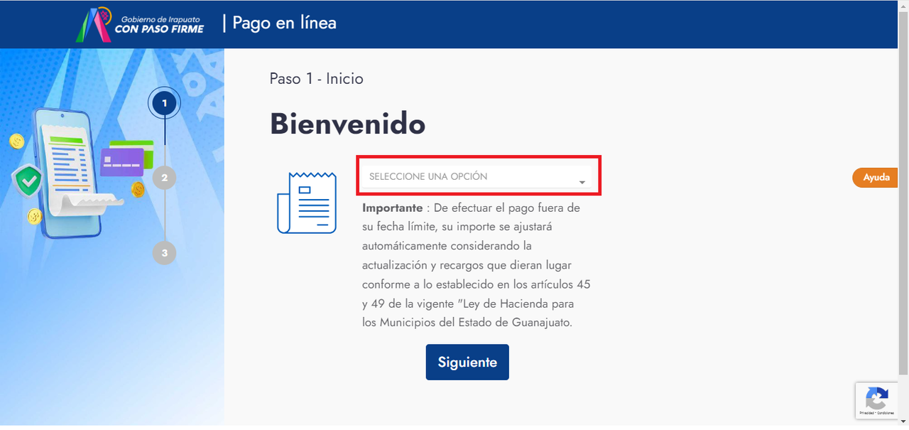 ventana-pago-en-linea