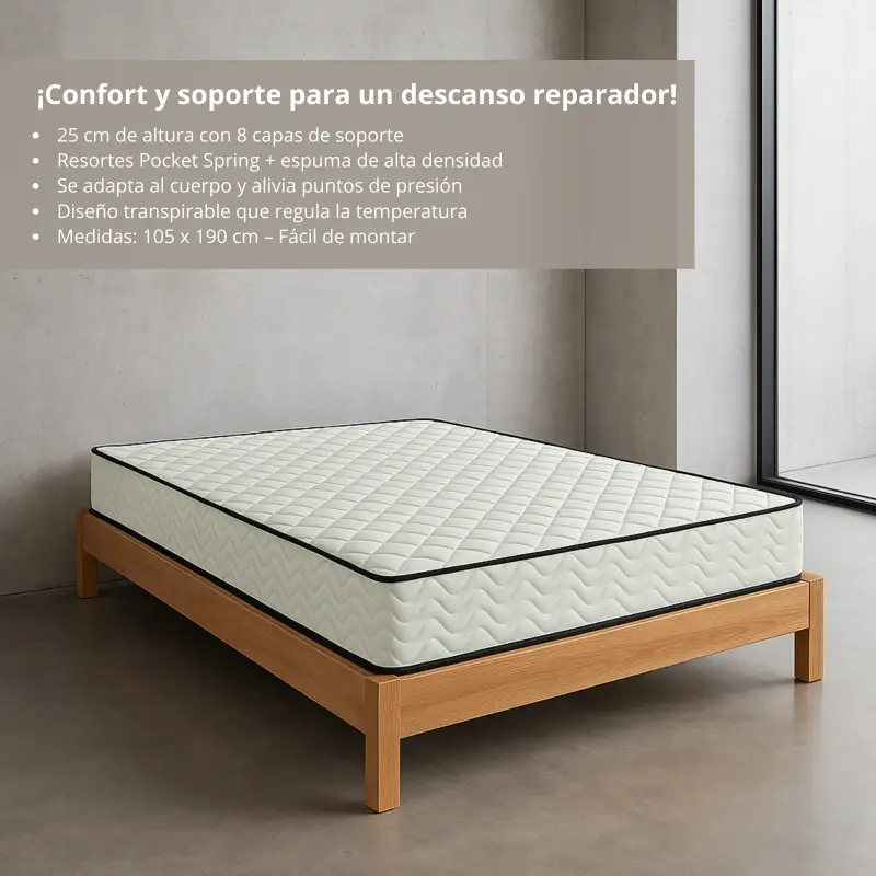 Caracterisiticas