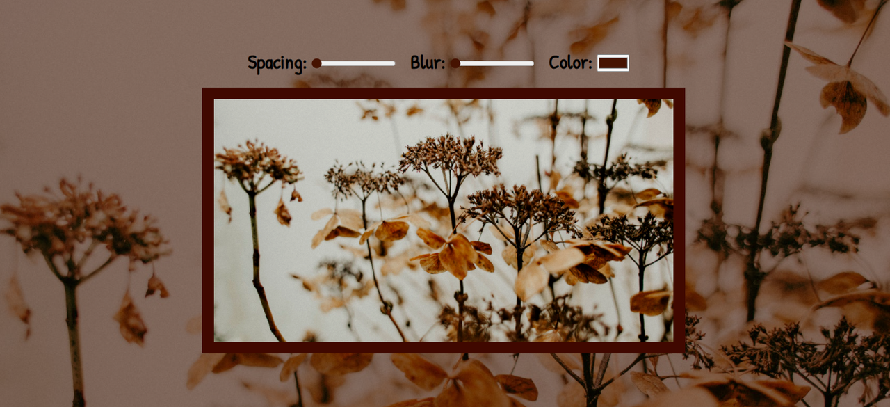"Playing with CSS Variables and JS" project screenshot