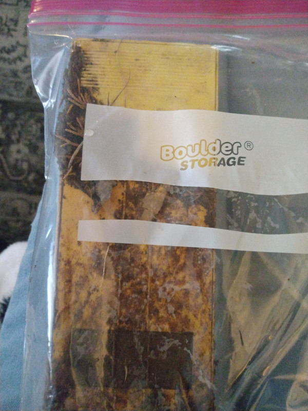 IMG 20260327 134241539