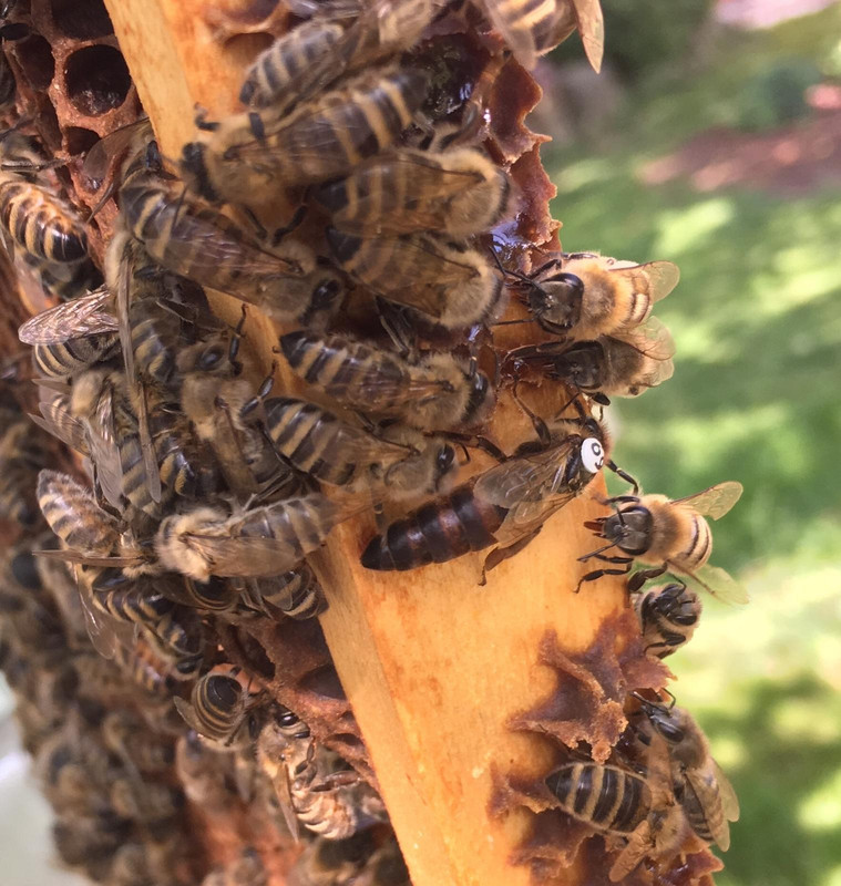 40951ACB-FB55-4A1E-A03E-FAF5E3D43206