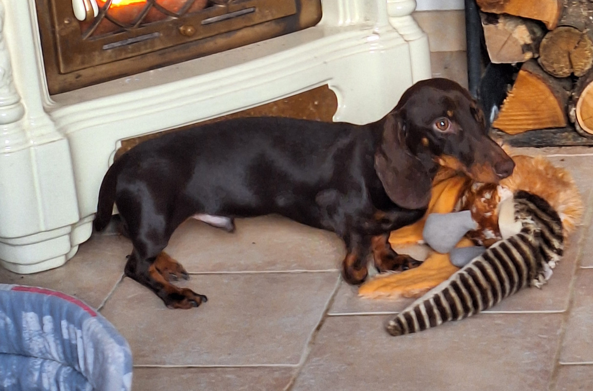 [Image: 20240115-131549.jpg]