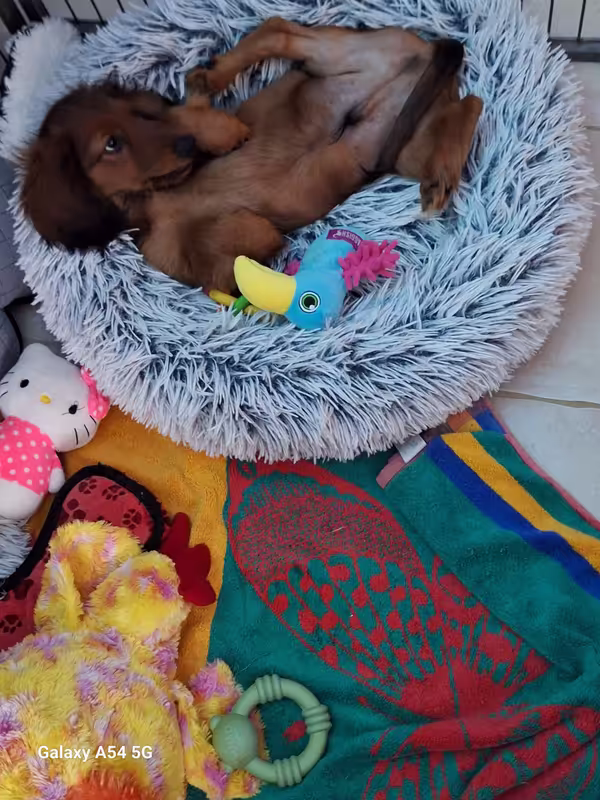 [Image: 20240925-114857.avif]