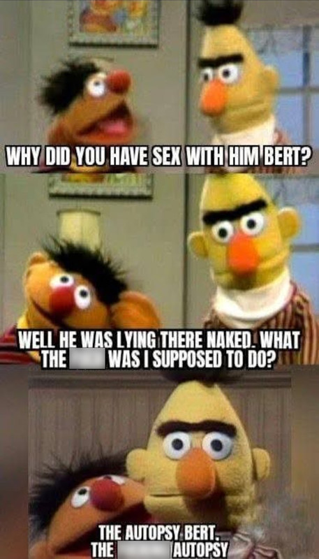bert.jpg