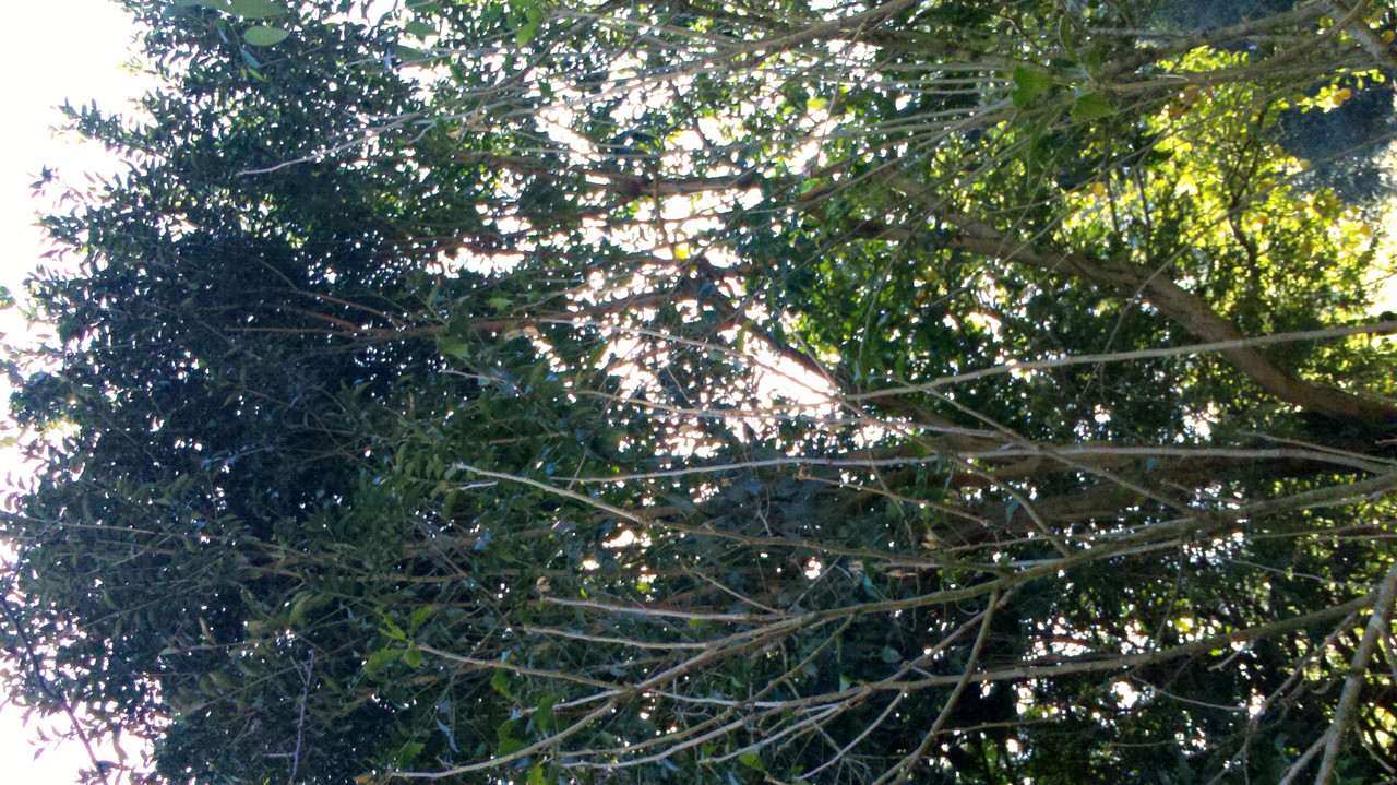 2013-06-07_15-07-19_985