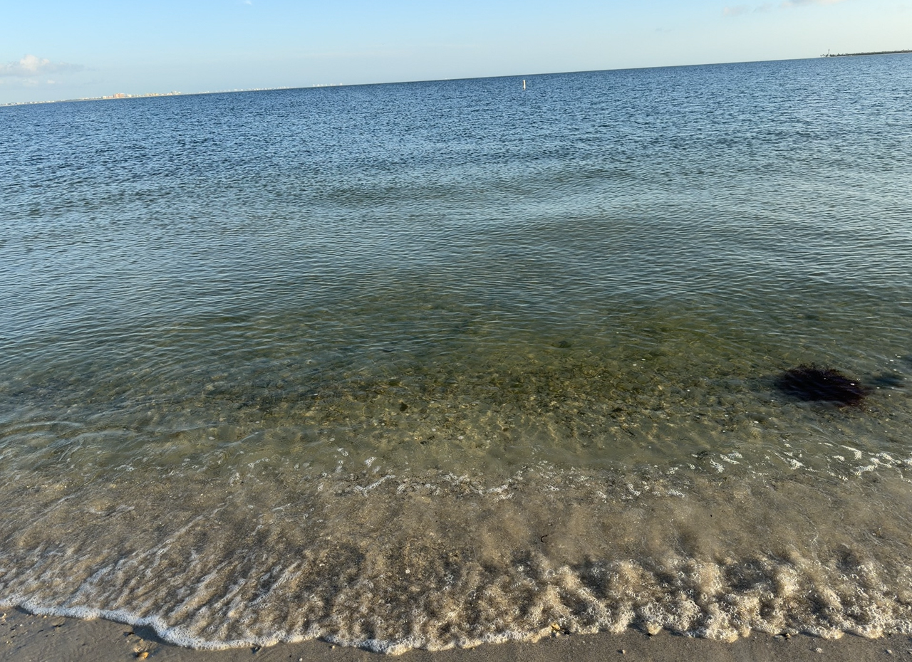 [Image: Sanibel-Island-Bridge4.png]