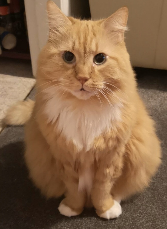 IMG-7e13f82638f61cedc28fc09a4ca52cf2-V.j