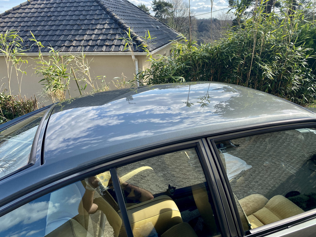 88B4D0D6-54D1-48A7-A4FC-F227842C2D86