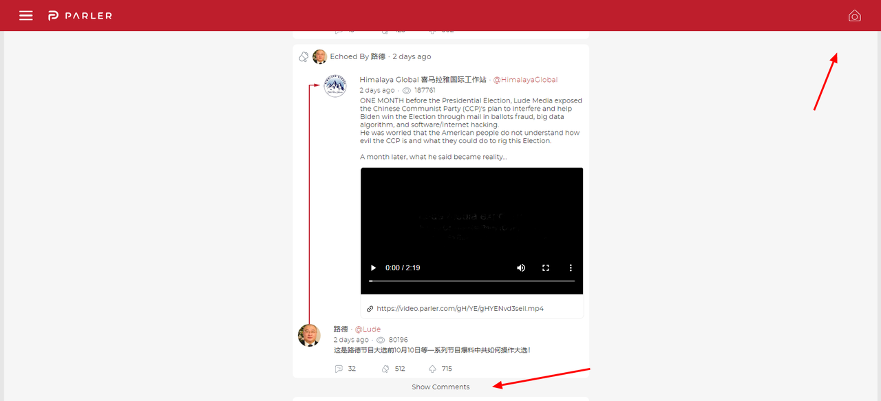 Opera Snapshot_2020-11-30_123305_parler.com