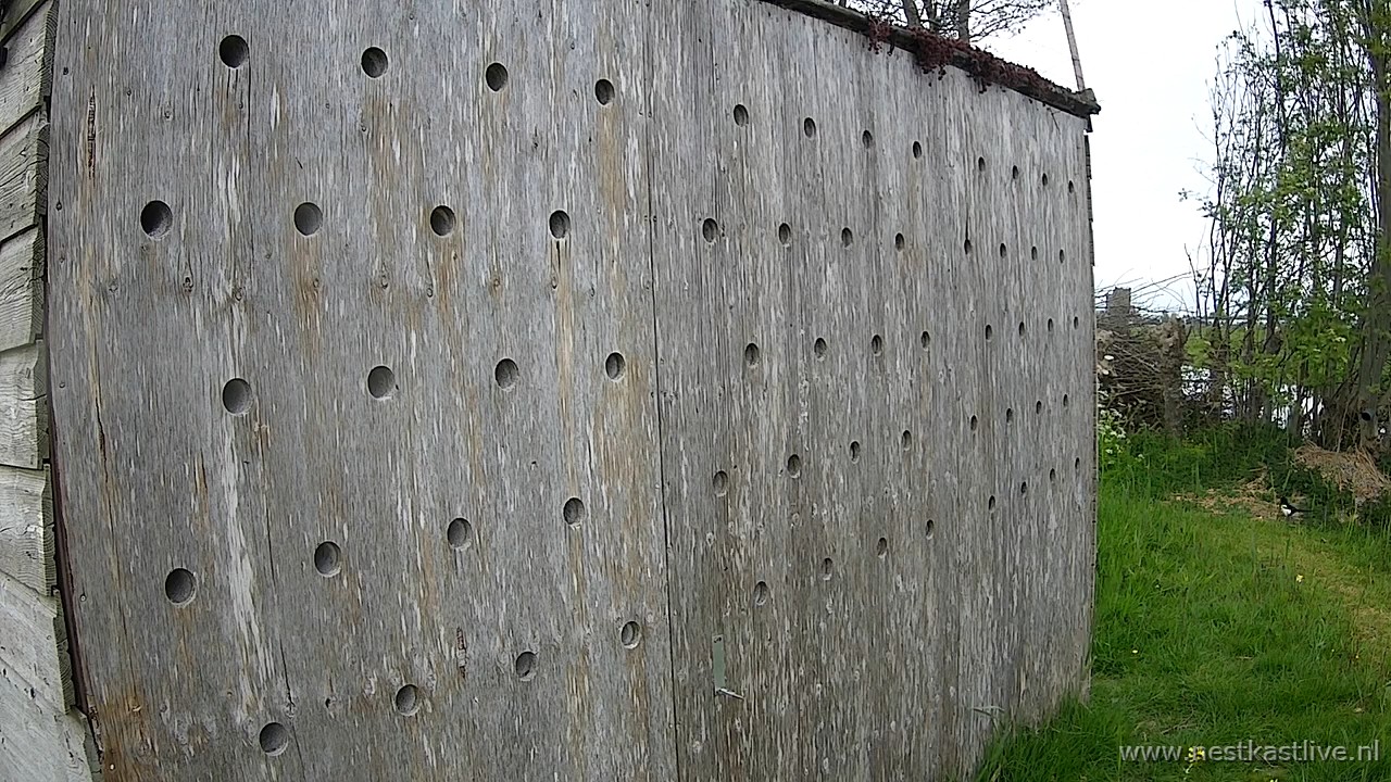 snapshot 2026 04 27T180603 712