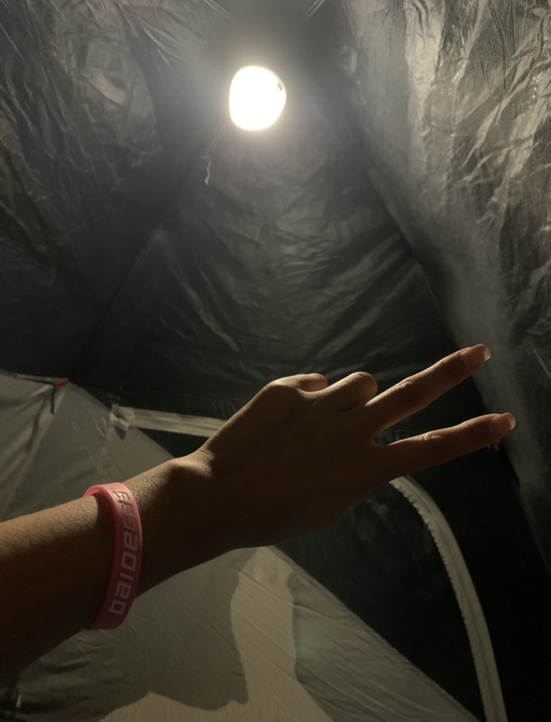 EE70E890-6CD8-4572-AFD6-229D849A340E