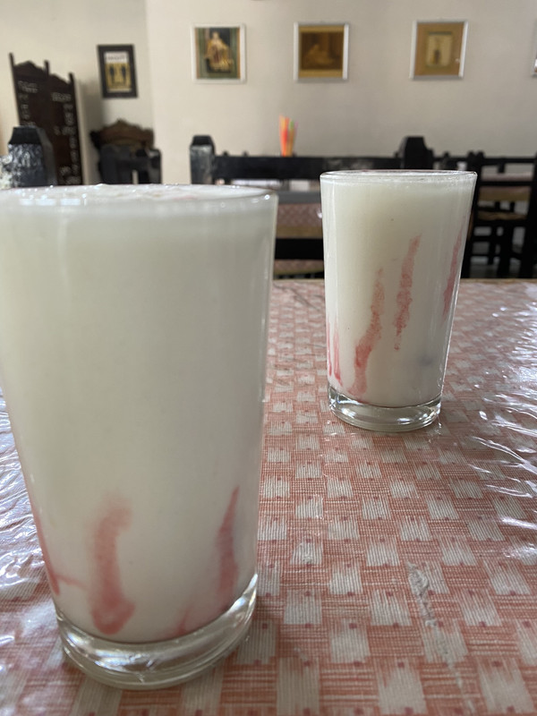 Etapa 11 - De Jaipur a Agra: Templos, pozos y una ciudad abandonada - India: Un viaje esperado después de la pandemia (4)