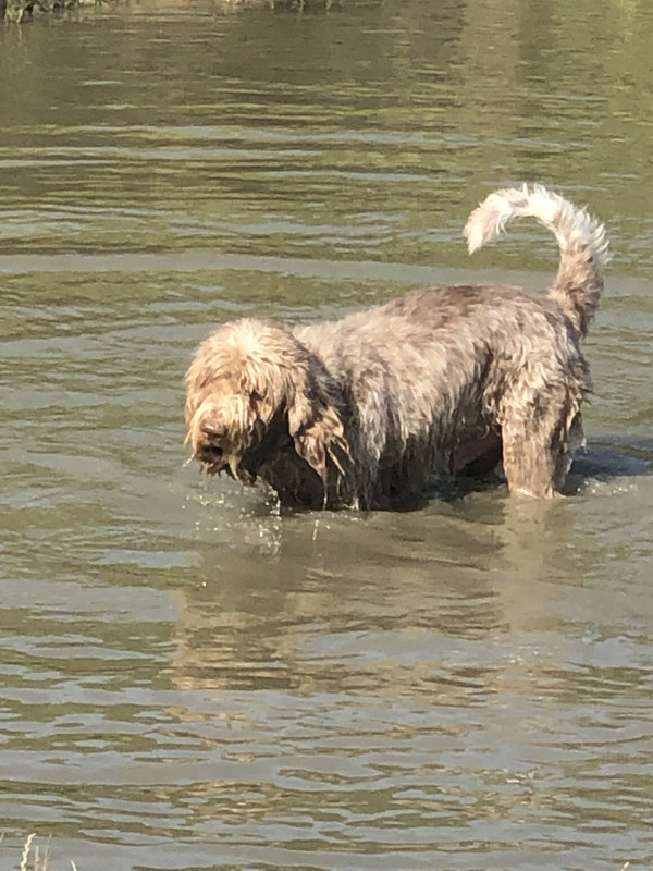 D6BB83D7-F31B-45DA-8BE9-95E4F4BBAEC8