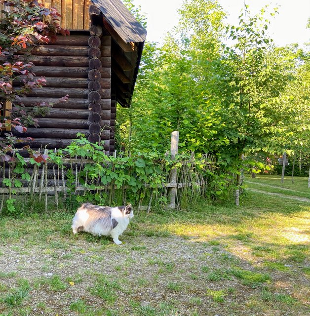 3-D70-D318-2-F64-46-AF-AA12-28795-D4778-