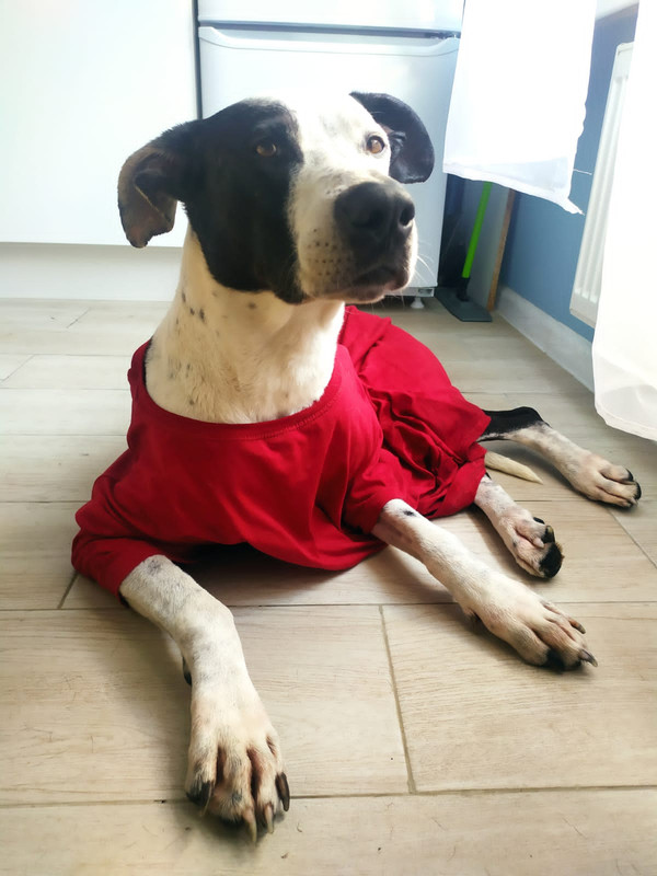 126B9E99-1B78-43AE-AC87-84C9D74501D6