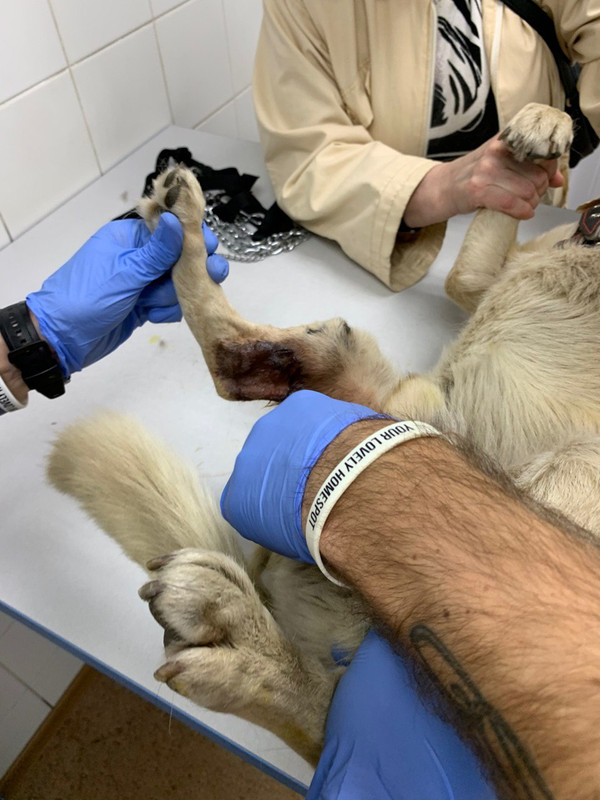 12F91624-C28F-45E4-B957-C76505772CB9