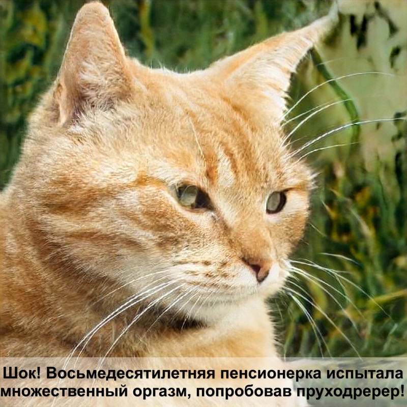 самая большая пятнистая кошка