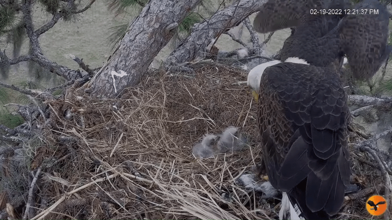 Webp.net-gifmaker (6)