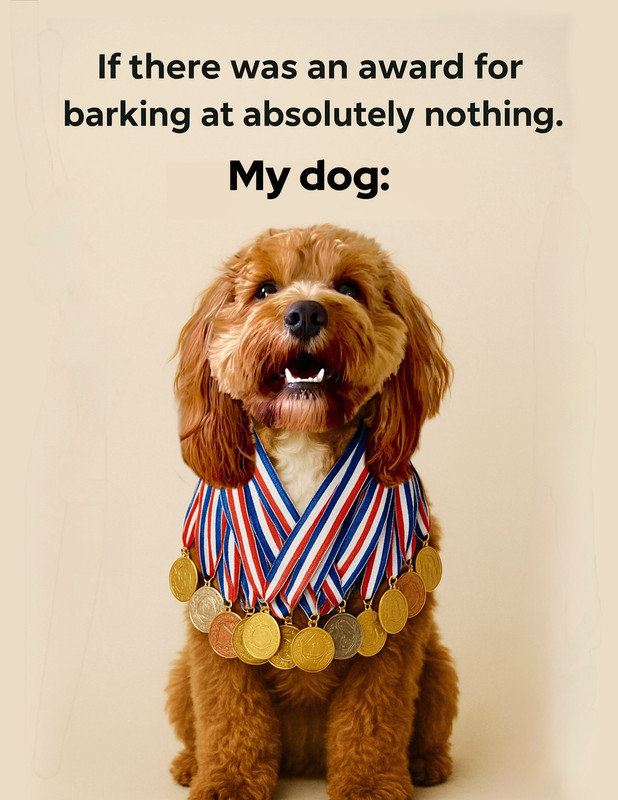 awarddog