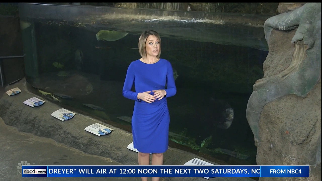 11.07 - 15.00.00 - Earth Odyssey With Dylan Dreyer. The world's smart....ts_snapshot_00.25.06.842