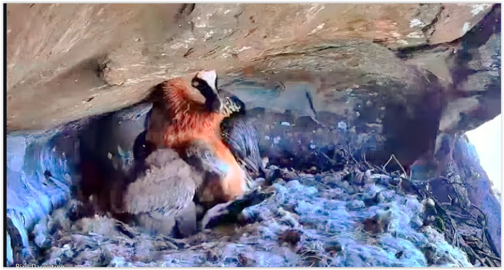 Screen Shot 09-30-25 at 09.05 AM 001