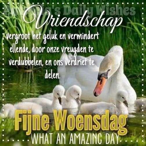 fijne-woensdag-zwaan