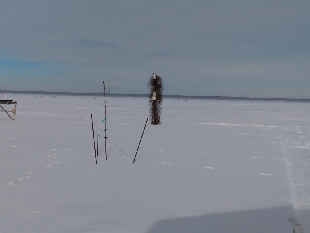 IMG_20220129_121837696