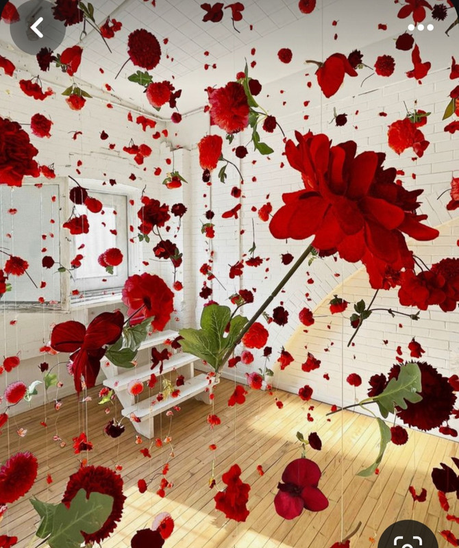 Screenshot_20240212_004717_Pinterest