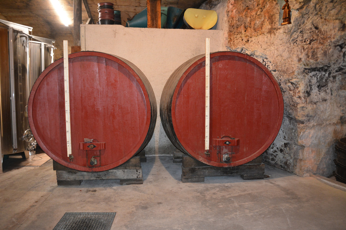 12.01 - DSC_8588 (Ater)