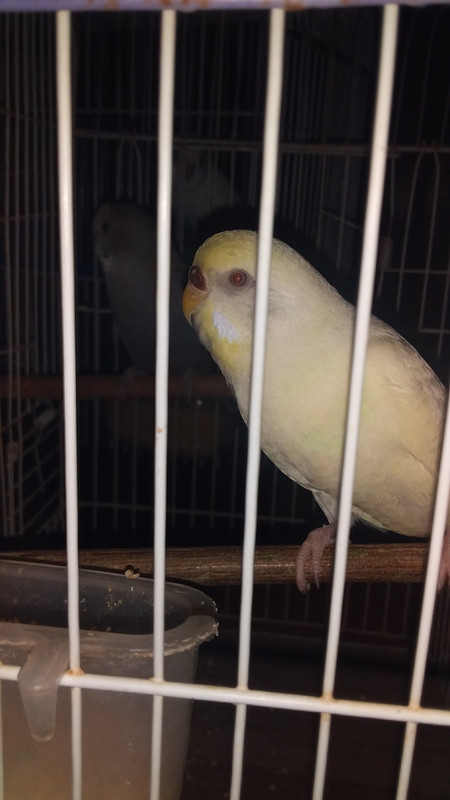 ٢٠٢١١٠١٦_١٧١٥٢٥