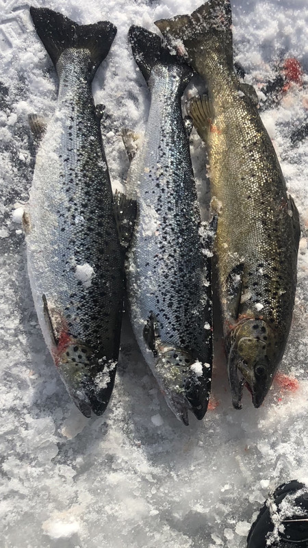 5AAC9950-9B19-4EA4-9036-CD733A14CF4B