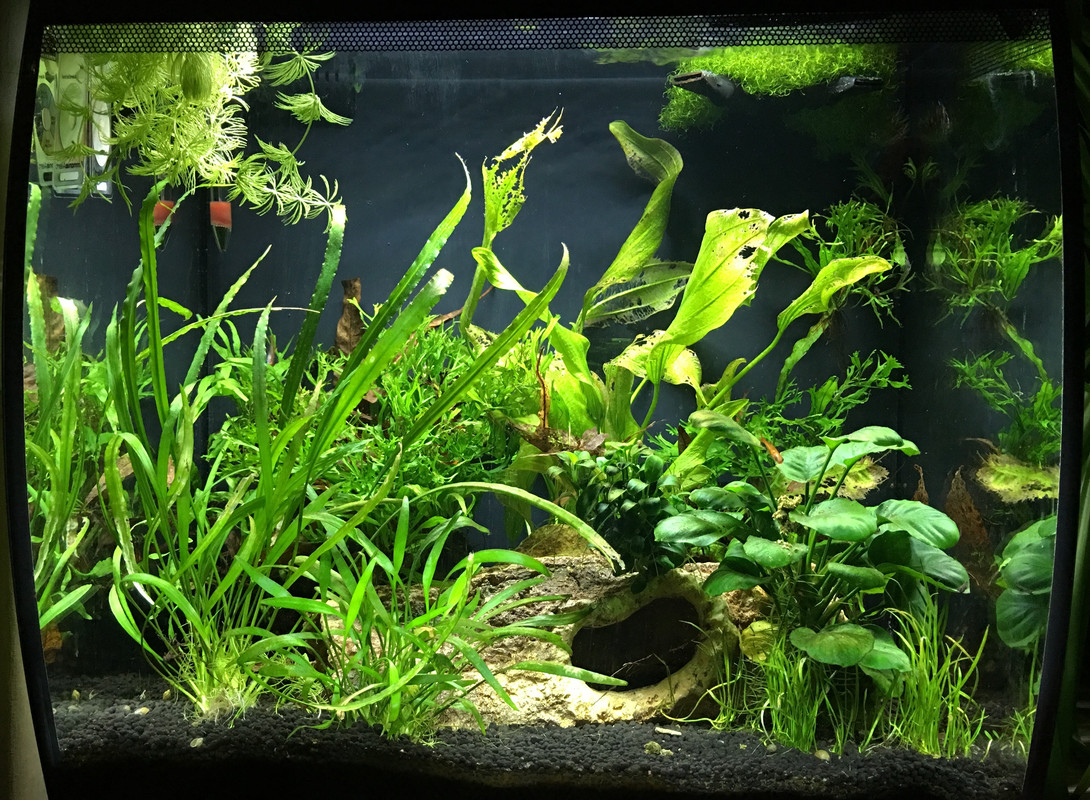 136B9166-B0B1-4591-97D0-FF40D211EE7E