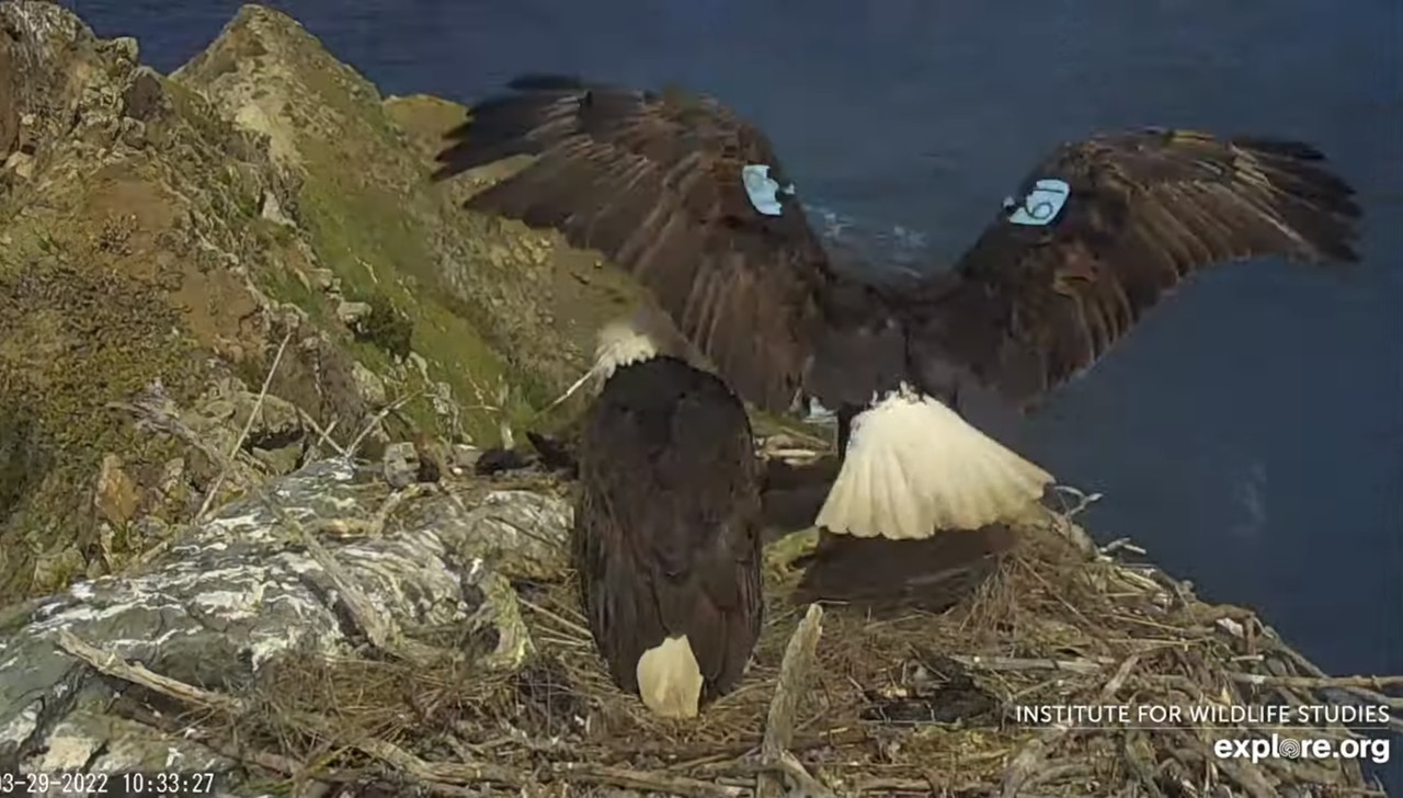 FA7A370C-6067-4042-8EE8-9EA61A72B031