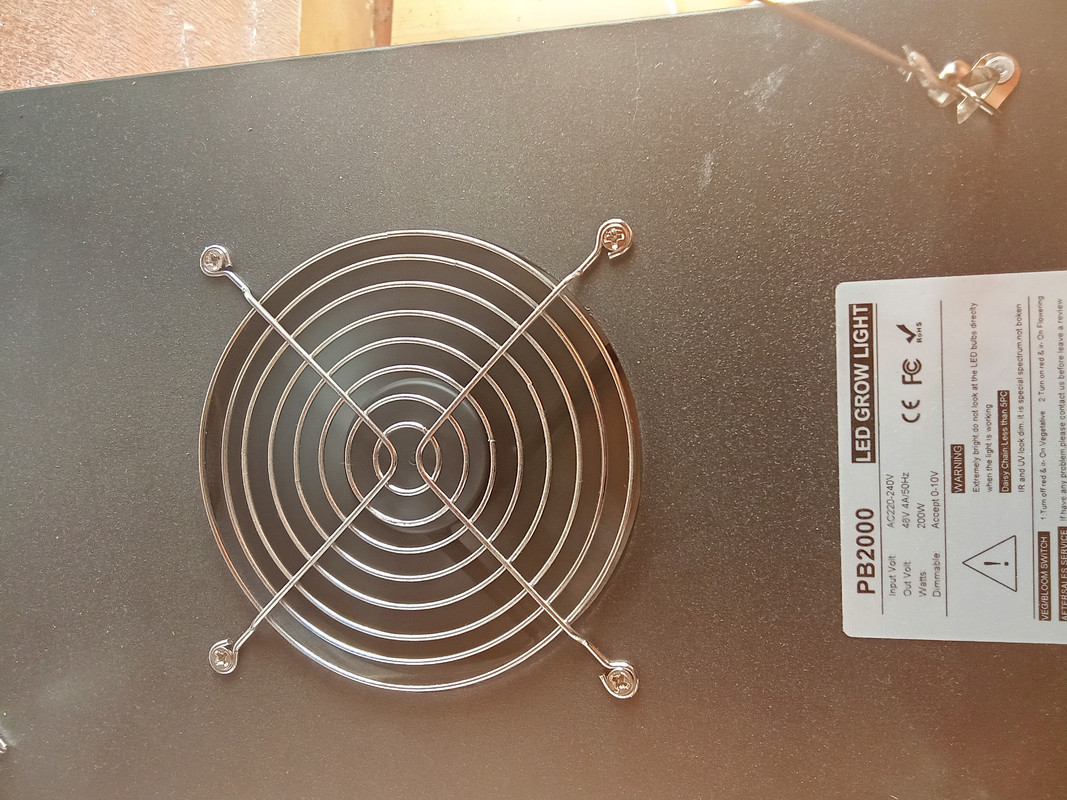 IMG-20250608-083054.jpg