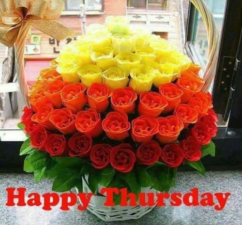 oie-481926e-UGWg-Ur8-(1)