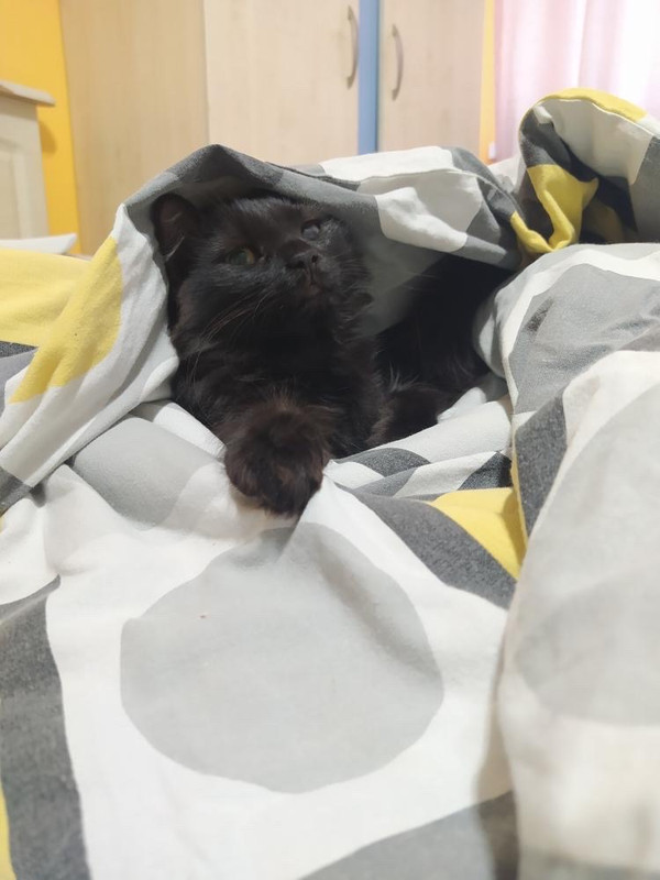 0410C9DA-8E02-4B84-AA3D-7CFFF0E44F54