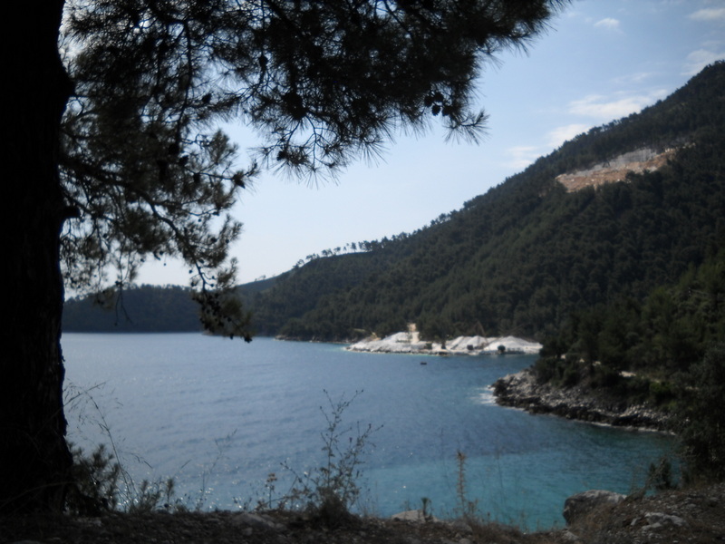 Slika